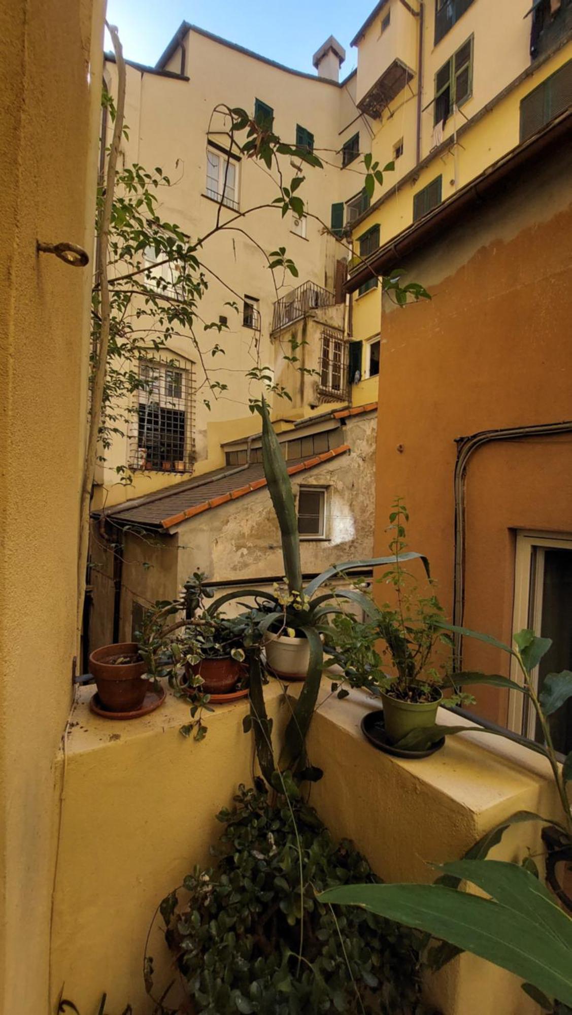 L'Angolo Verde In San Luca Genova Esterno foto